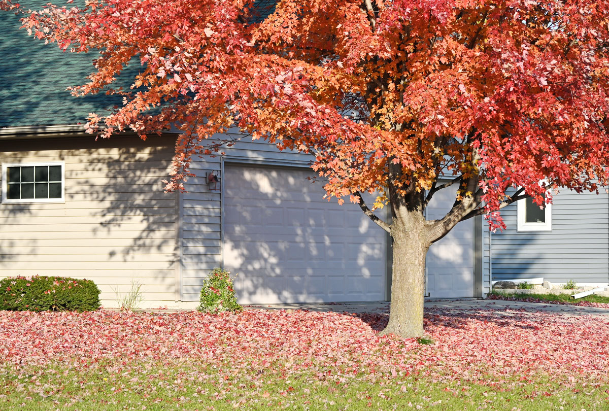 Read more about the article Are Your Garage Doors Ready for Fall?